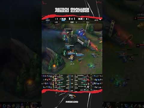 체급생명 이스포츠