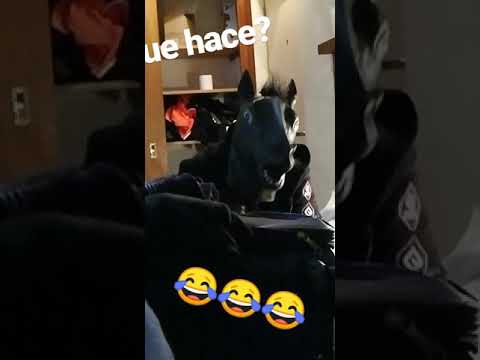 😂😂😂
