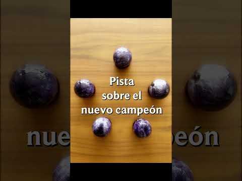 ¿Quién será el nuevo campeón? Adivinen en los comentarios 👀👀